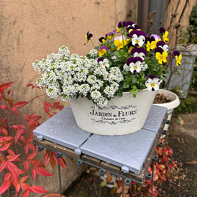 fumikoiさんの部屋