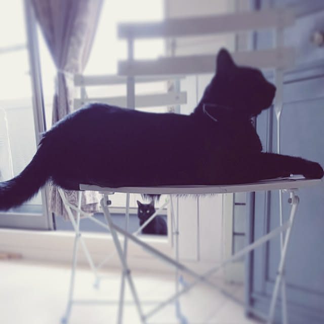 seaさんの実例写真