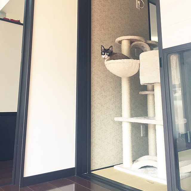 Wakanaさんの実例写真