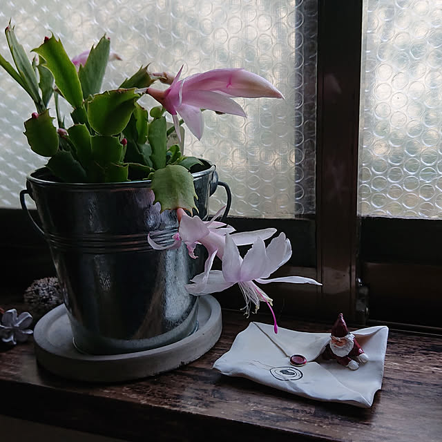 taeko0779さんの実例写真