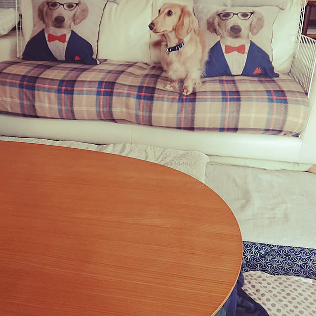 JUNMARIKAさんの実例写真