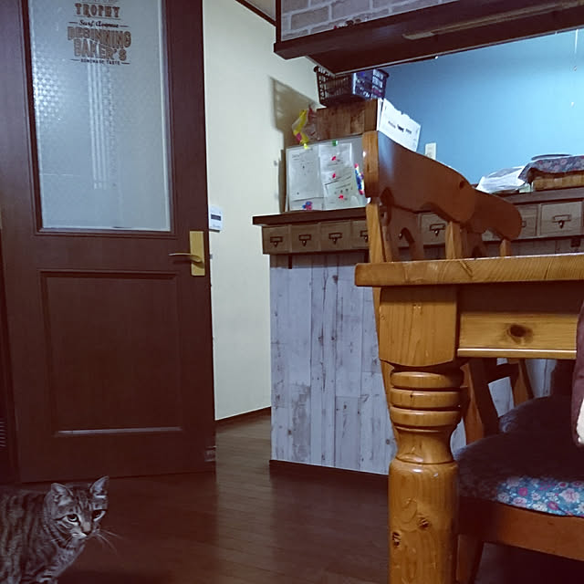 CHIBIさんの実例写真