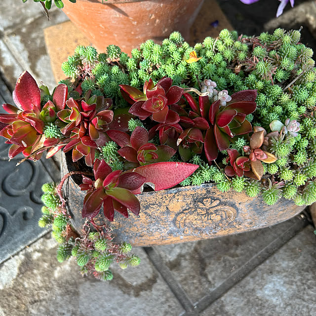 ritsukoさんの実例写真