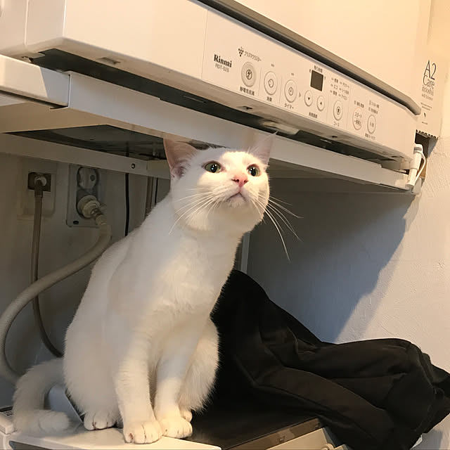 sakurasakuさんの実例写真