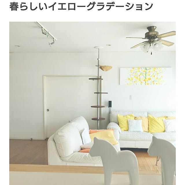 hiyo.pietさんの実例写真