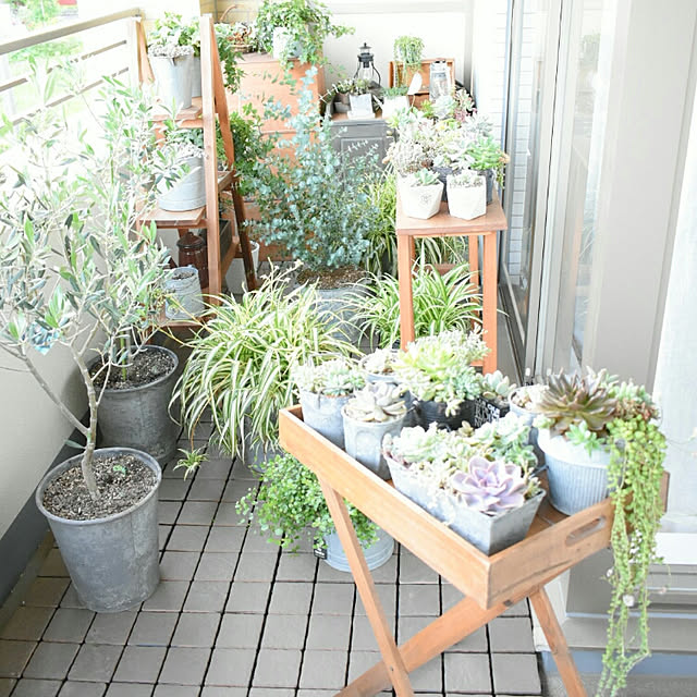 aurinkoさんの実例写真