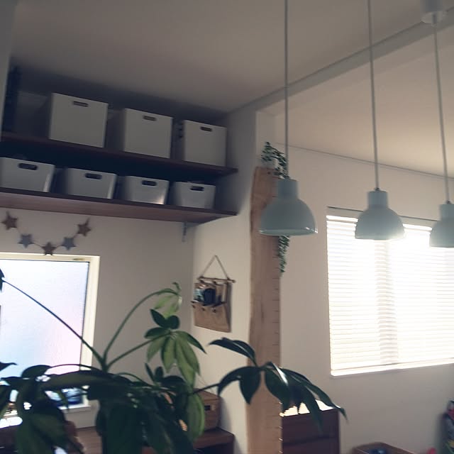 orangeteaさんの実例写真