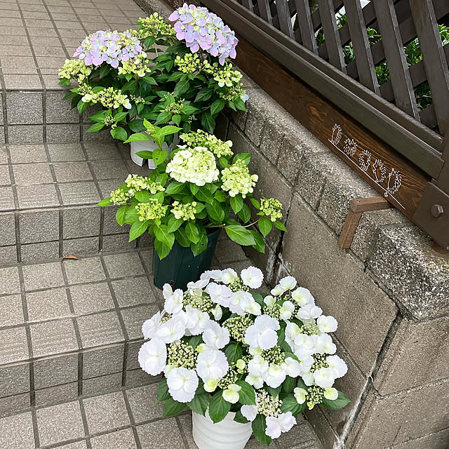 maron915さんの実例写真
