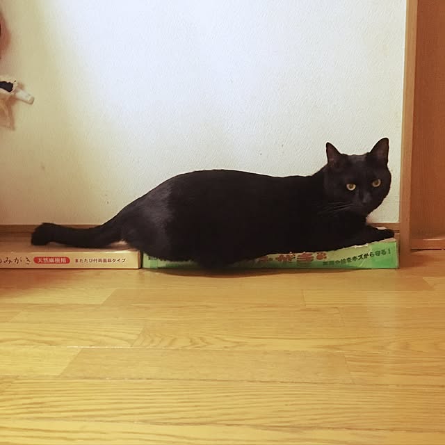 keiko-sawakaさんの実例写真