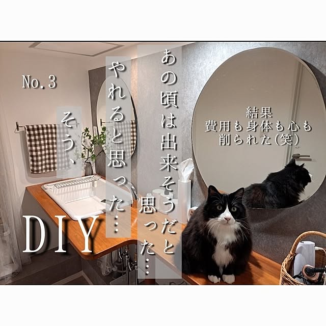 kankanmom_horn_5catsさんの実例写真