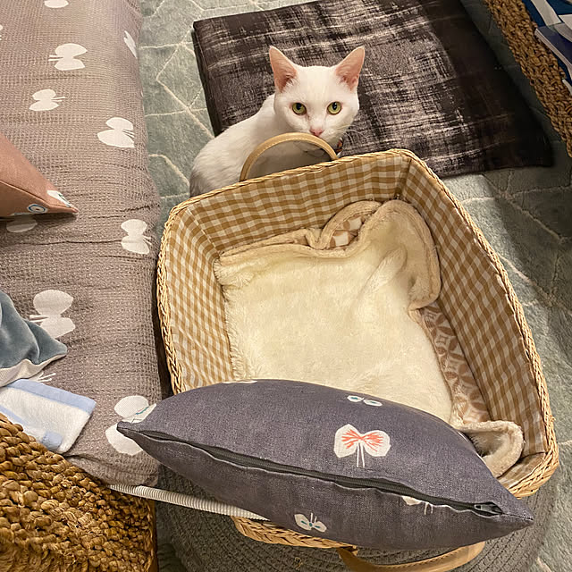 hanaさんの部屋