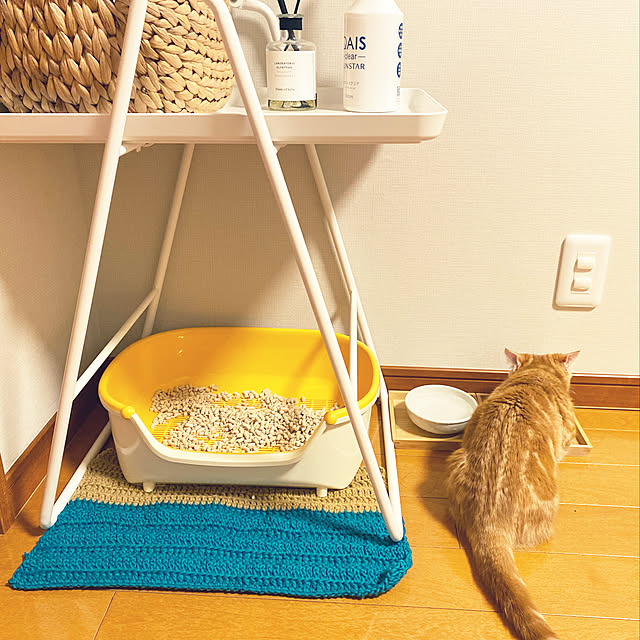 Riekoさんの実例写真