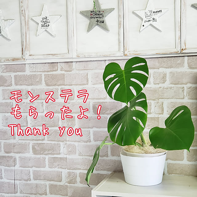 springkeyさんの実例写真
