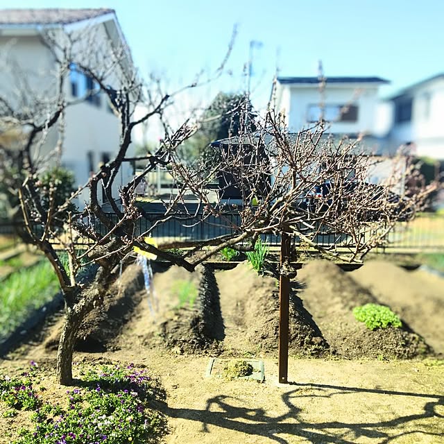 mtmtさんの部屋