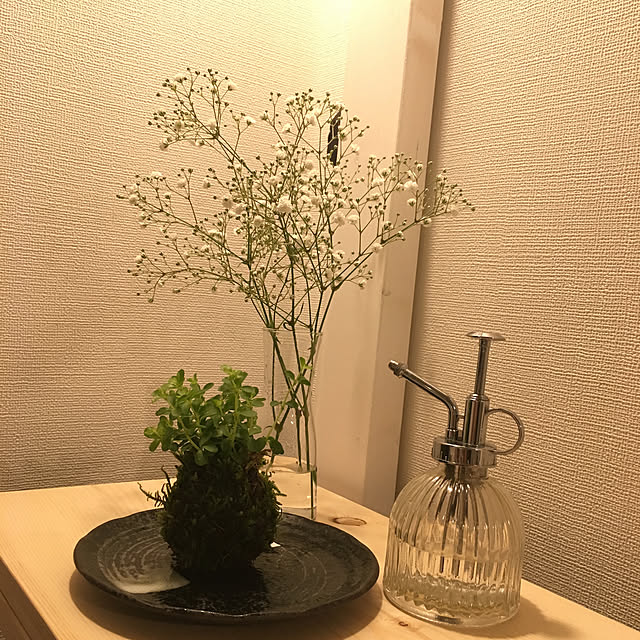 erieeeeさんの実例写真