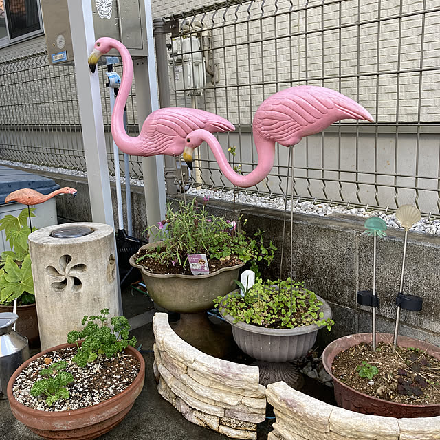 alohamamaさんの実例写真