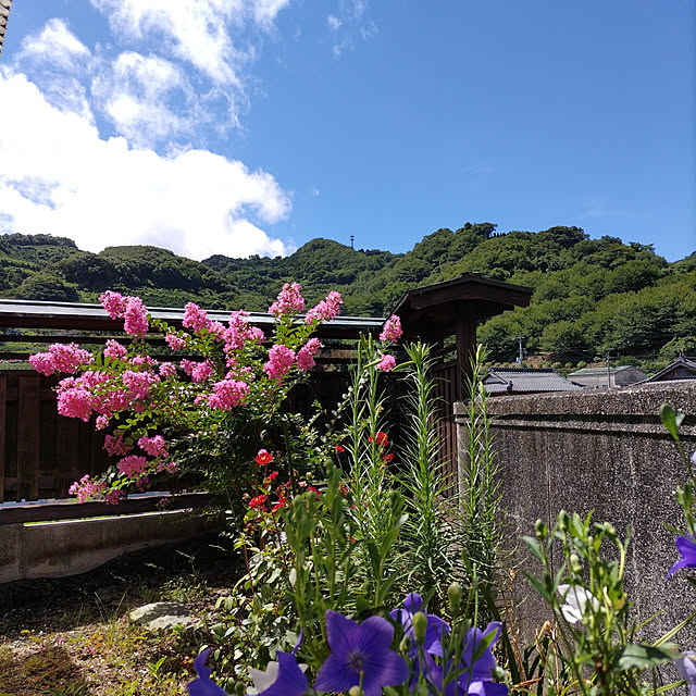kuririnmamaさんの実例写真
