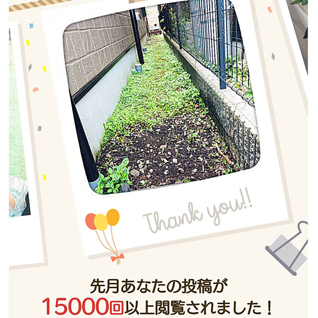H23さんの実例写真