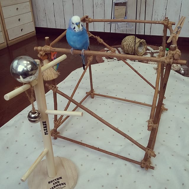 opiopiopiさんの実例写真