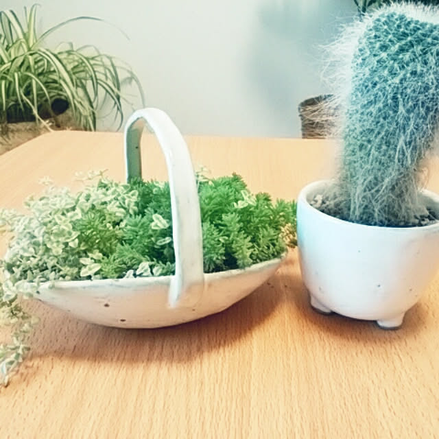 reonさんの実例写真