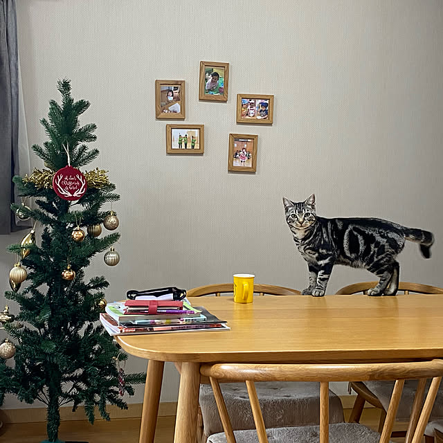 yoomijanさんの実例写真