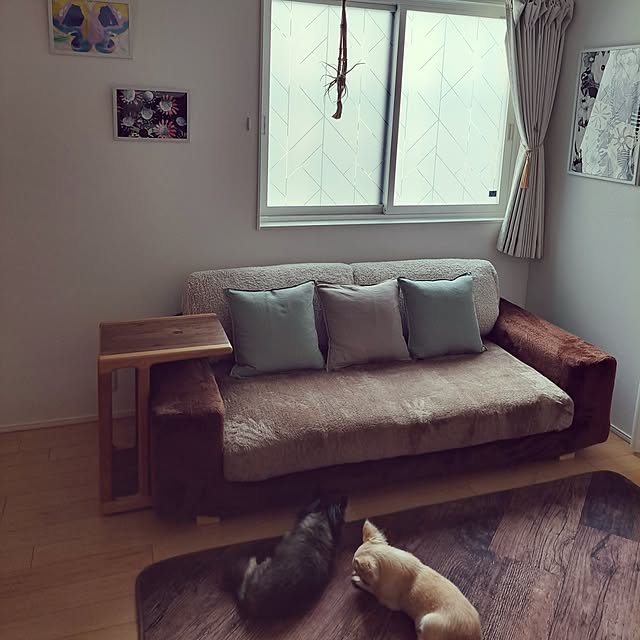vol.3759写真