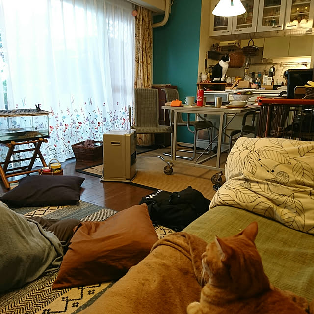 okyosan101さんの実例写真