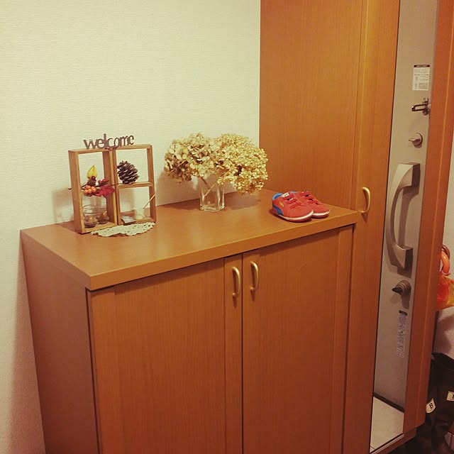 ikeprioさんの実例写真