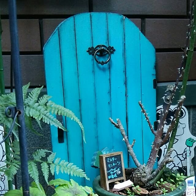 haizirunrunさんの実例写真