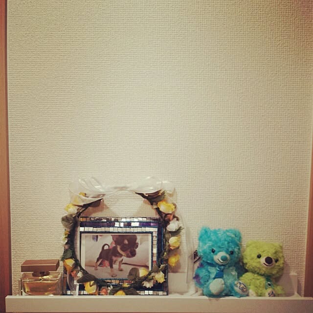 実例写真