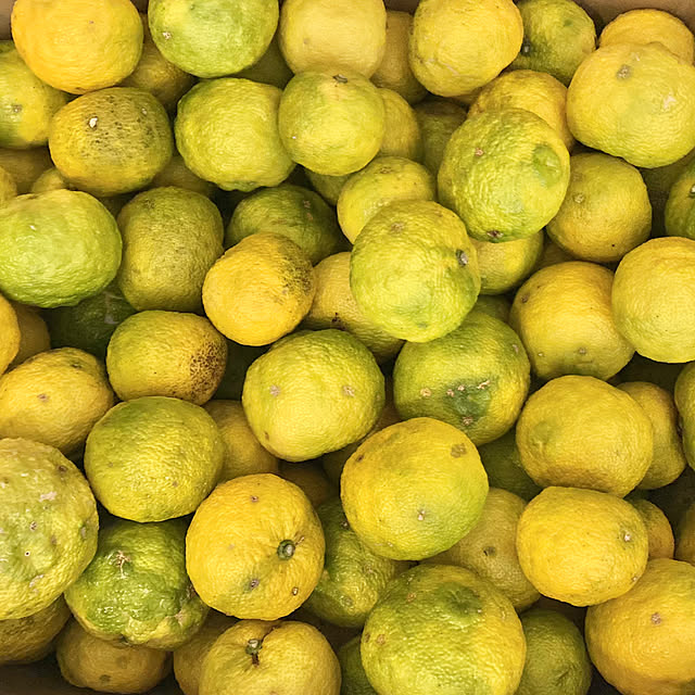 maki_papercraftさんの部屋