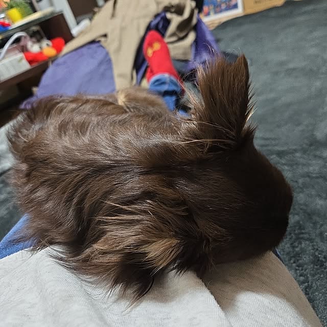 Eriさんの実例写真