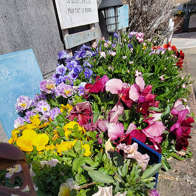 natyenaoさんの実例写真