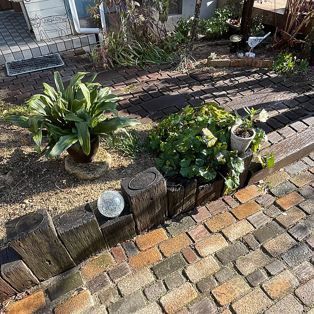 nobikoさんの部屋