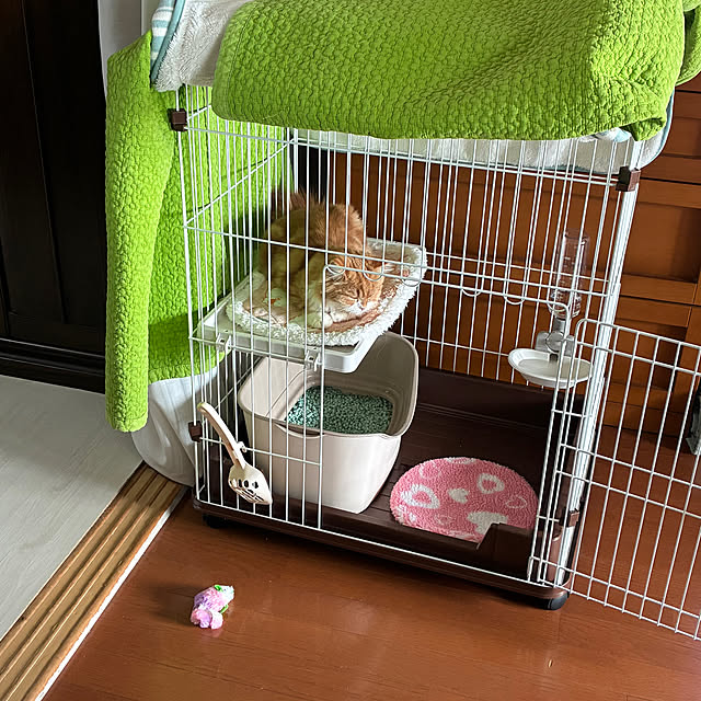 uchidaizuさんの実例写真