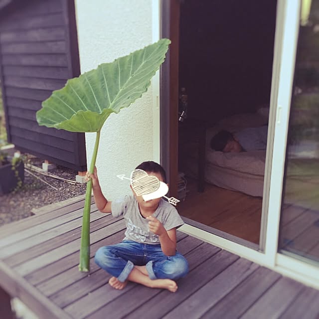 yumikoさんの実例写真