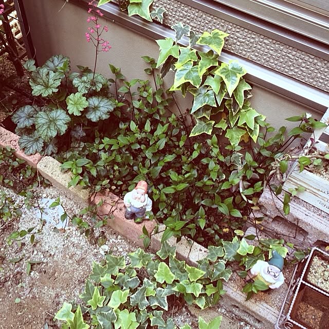 HINA7878さんの実例写真