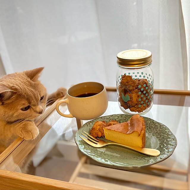 tomoさんの実例写真