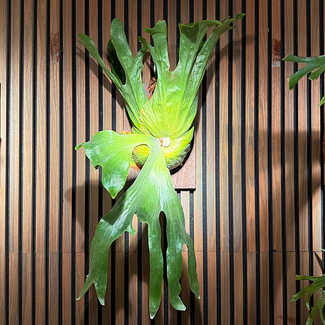 Takuさんの実例写真