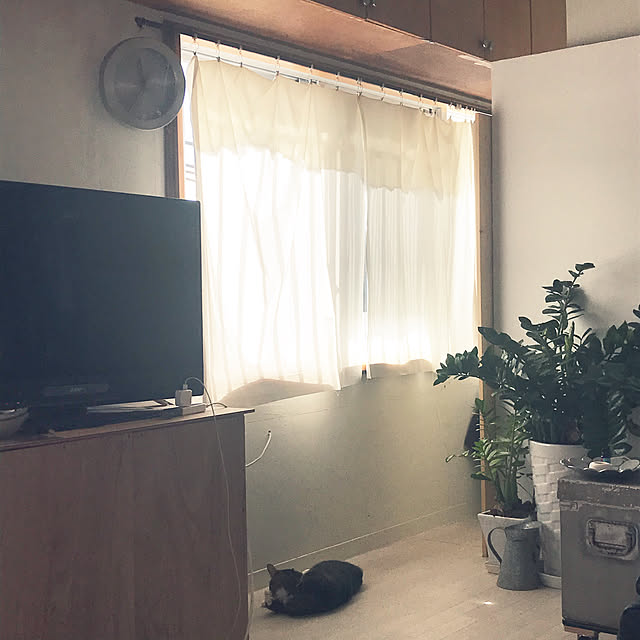 Mikiroさんの実例写真