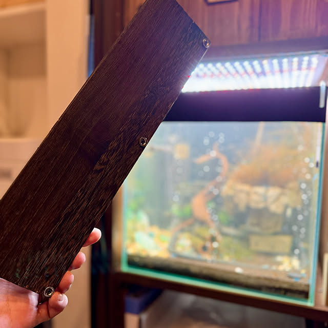 yutaさんの実例写真