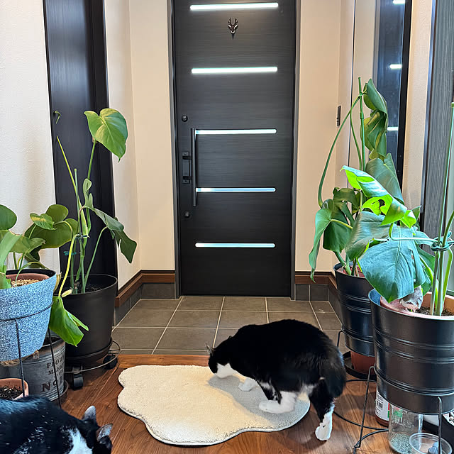 porinさんの部屋