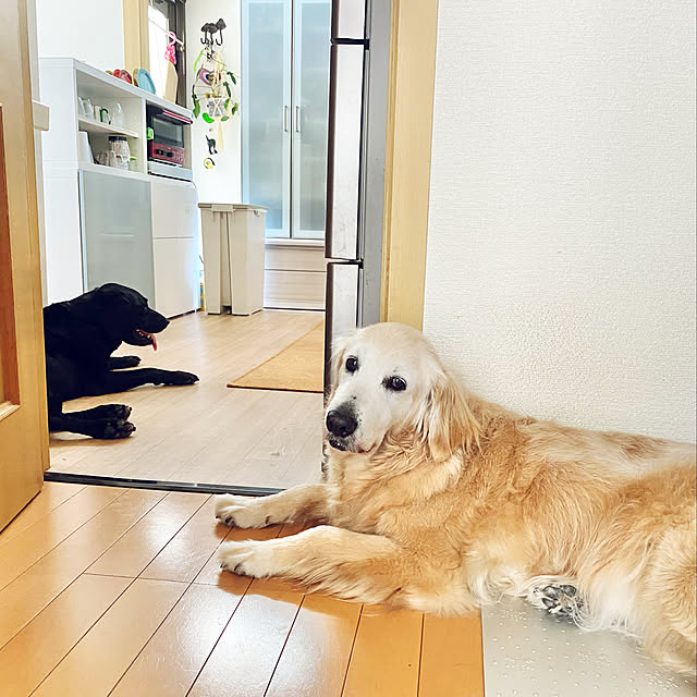minu5656さんの実例写真