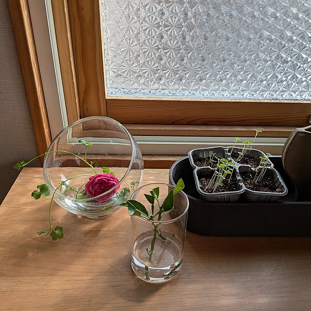 botanさんの実例写真