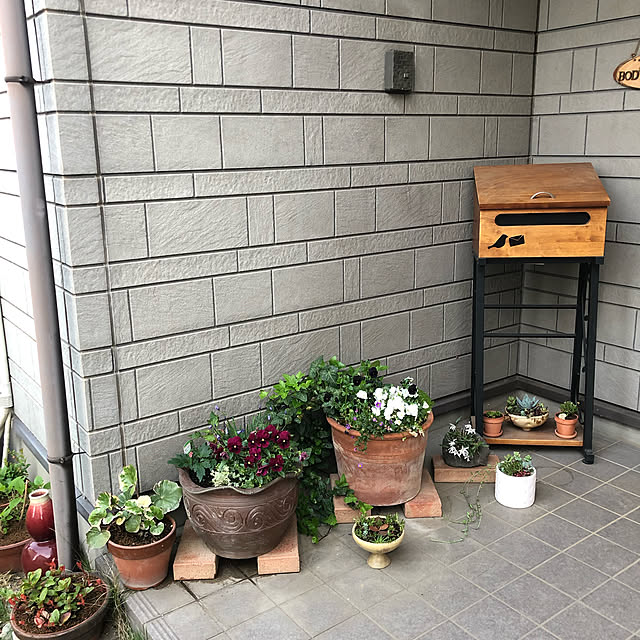 玄関/入り口のインテリア実例 - 2019-06-12 23:21:16