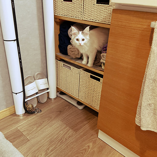 miwaさんの実例写真