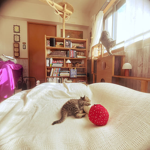 Mさんの部屋