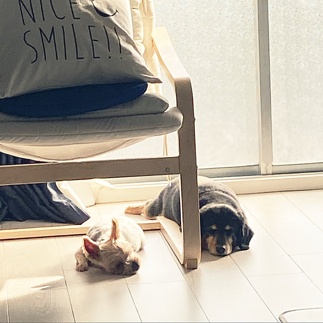 ohanaさんの実例写真