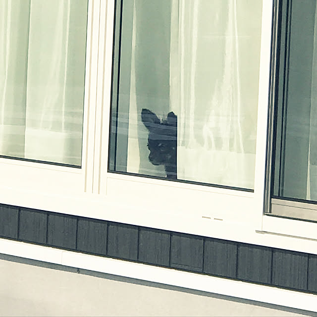 kanaさんの実例写真