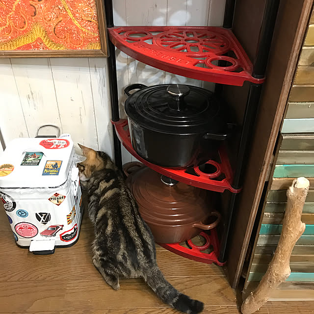 pepeさんの実例写真